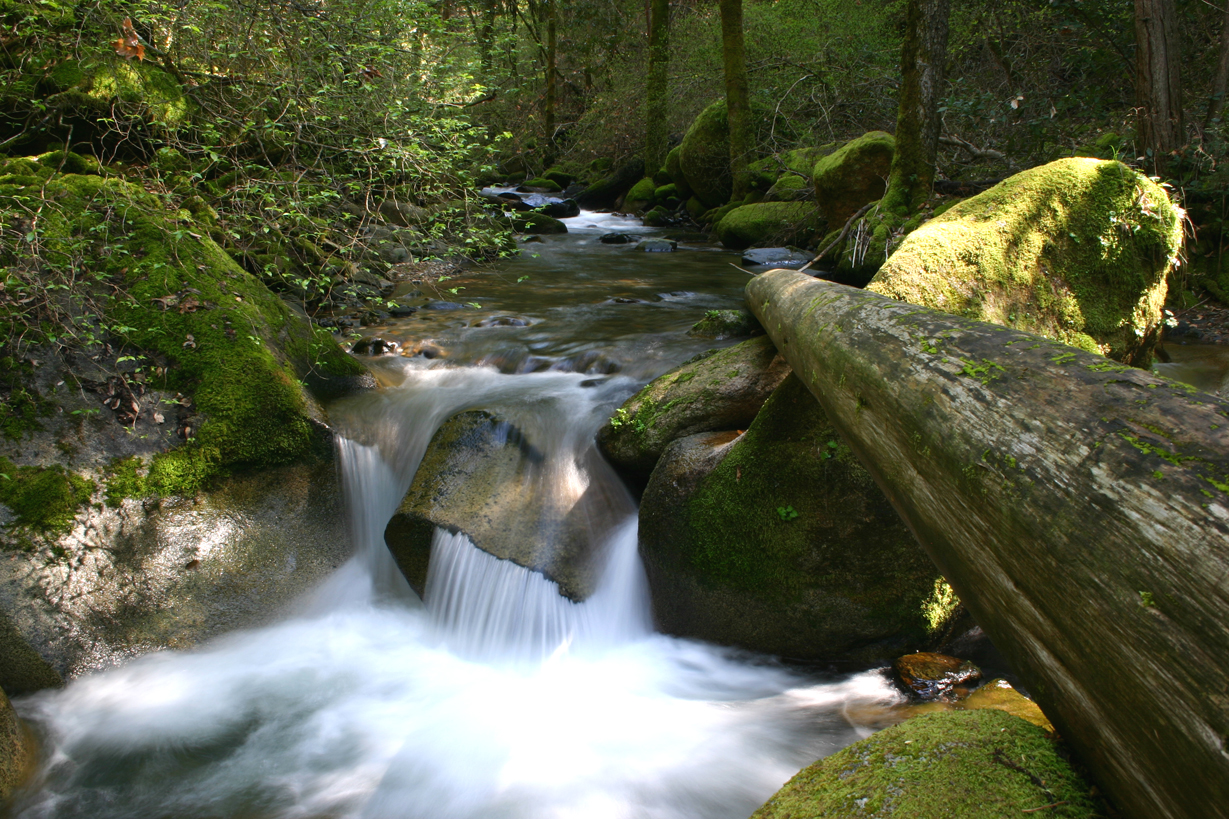 feather-falls-trial-1513233